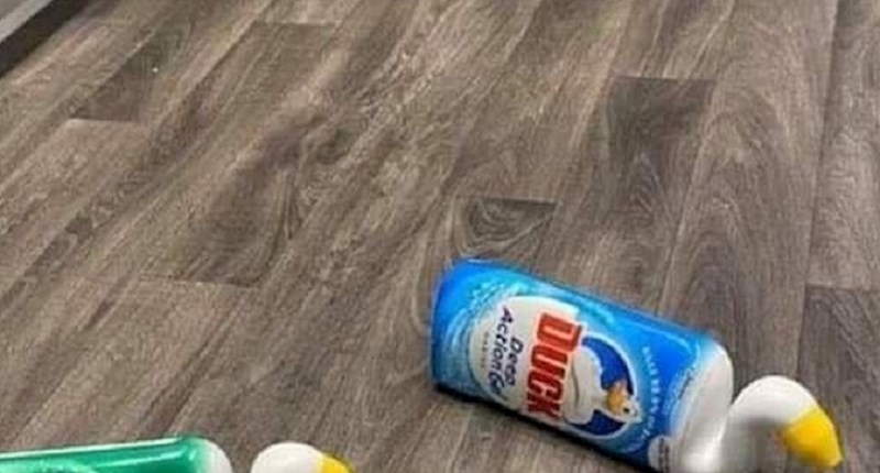 Čovjek je već danima u karanteni, koliko mu mora biti dosadno da radi ovakve stvari?