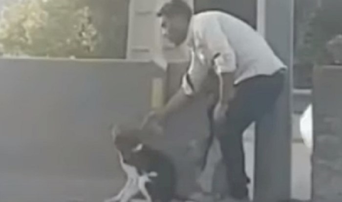 Čovjek je riskirao svoj život kako bi spasio preplašenog psa s prometnice, ovo vraća vjeru u ljude