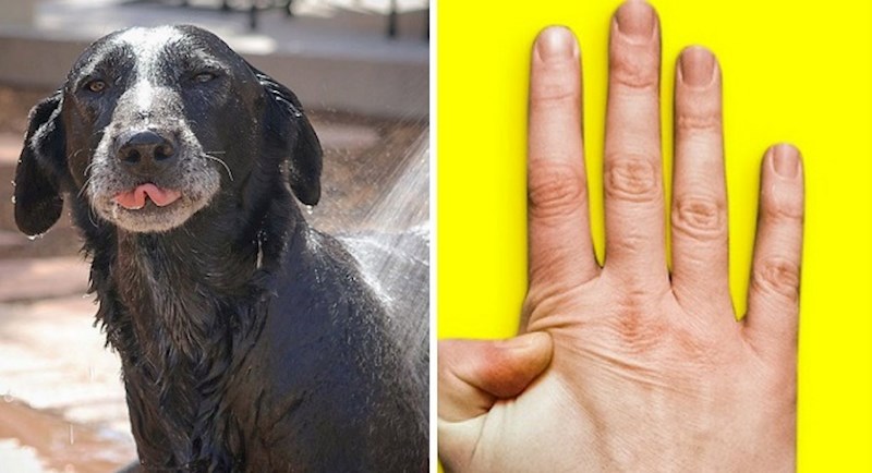 5 stvari koje puno ljudi jednostavno ne može napraviti