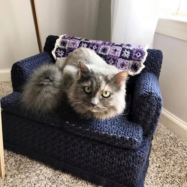 "Moja baka je svojoj mački napravila fotelju"