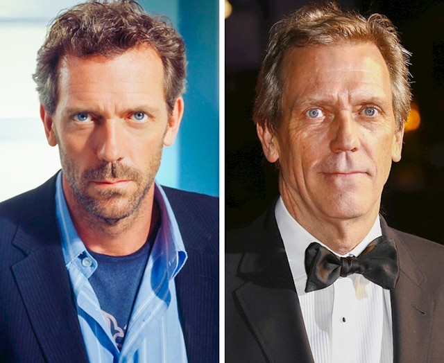 Hugh Laurie kao Dr. House