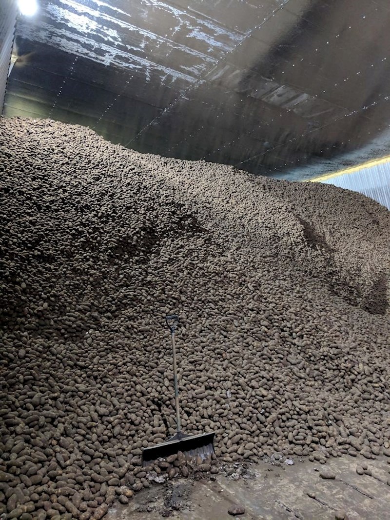 Skladište krumpira. Ok, nije nešto fascinantno, ali pogledajte koliko ih je