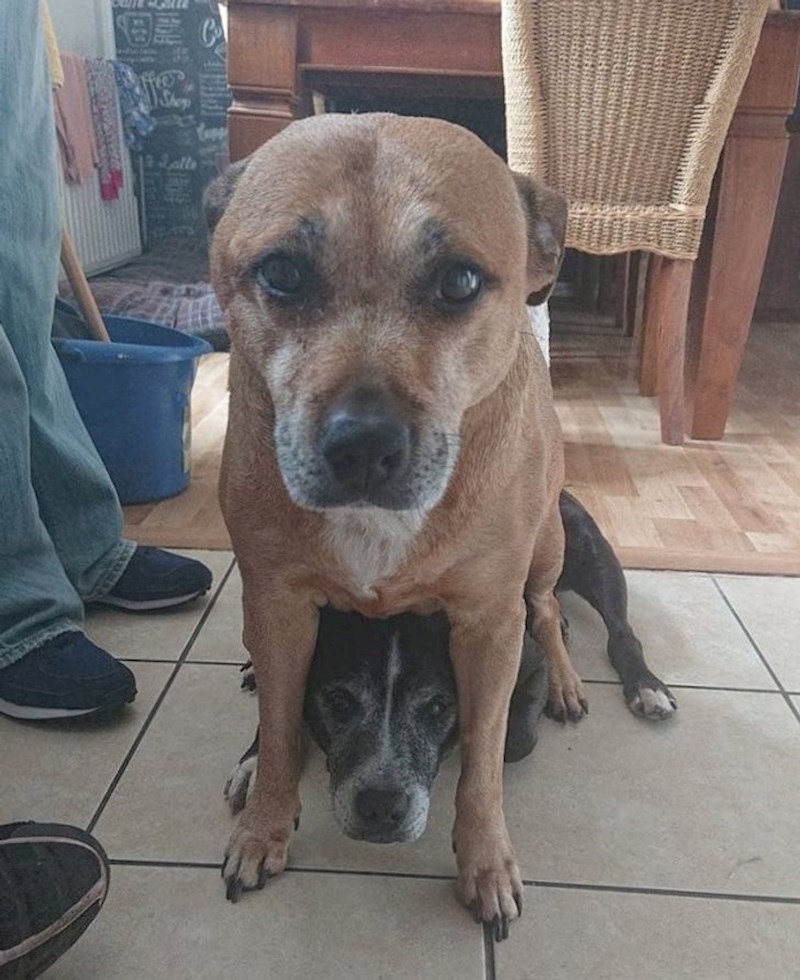 "Ne snalazi se u prostoru..."