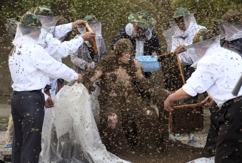 Najviše pčela koje su prekrile čovjeka