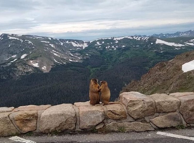 Hoćeš li se udati za mene?