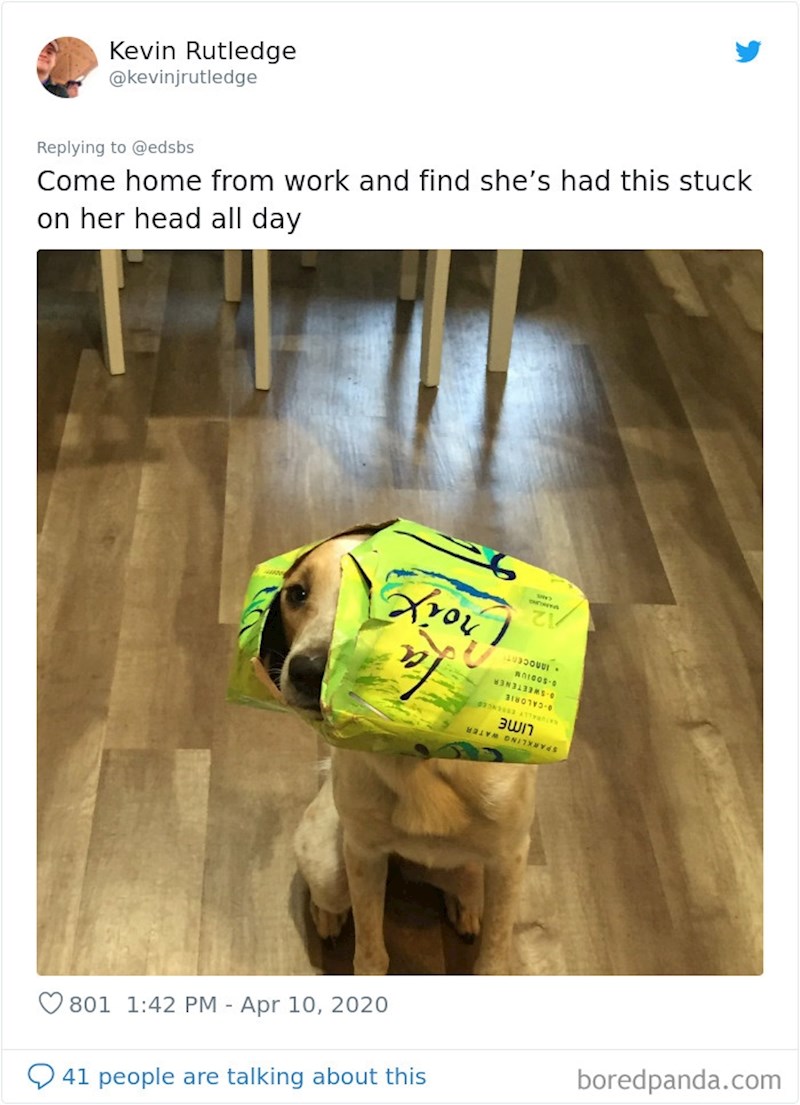 "Došla sam kući s posla i otkrila da je cijeli dan ovako provela..."