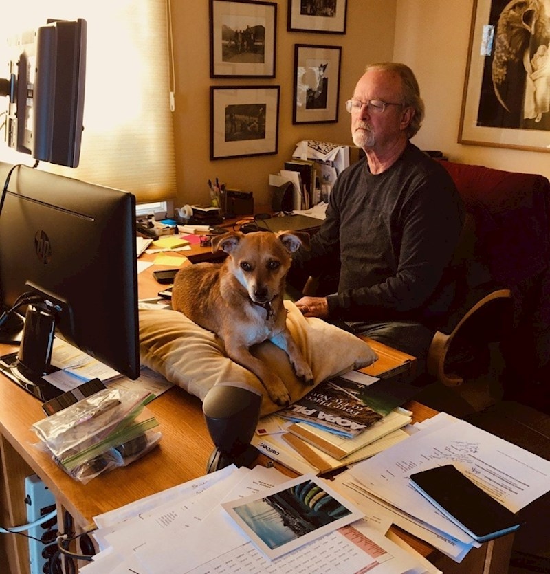 "Kada sam udomila psa, tatu sam jedva namolila da ga ponekad pričuva. Sada ga on čuva svaki dan kada sam na poslu i šalje mi njihove zajedničke slike"