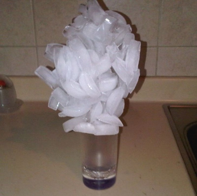 "Zamolio sam curu da mi donese čašu vode s puno leda..."