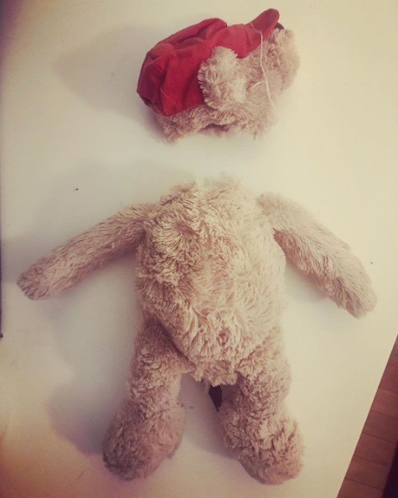 Oprala je sinovog omiljenog medvjedića u perilici rublja