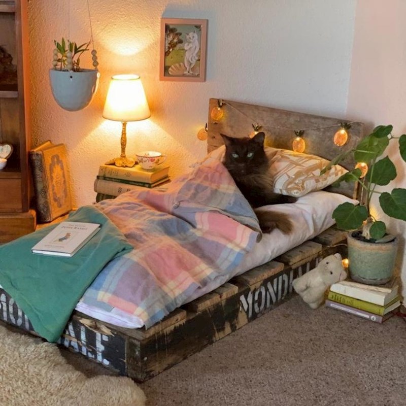 "Soba našeg dlakavog sina"