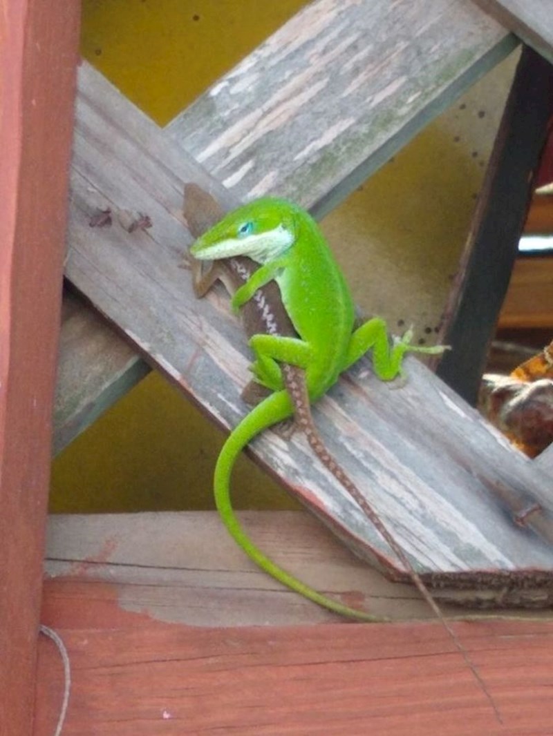 "Možda bi ih trebao ostaviti same?"