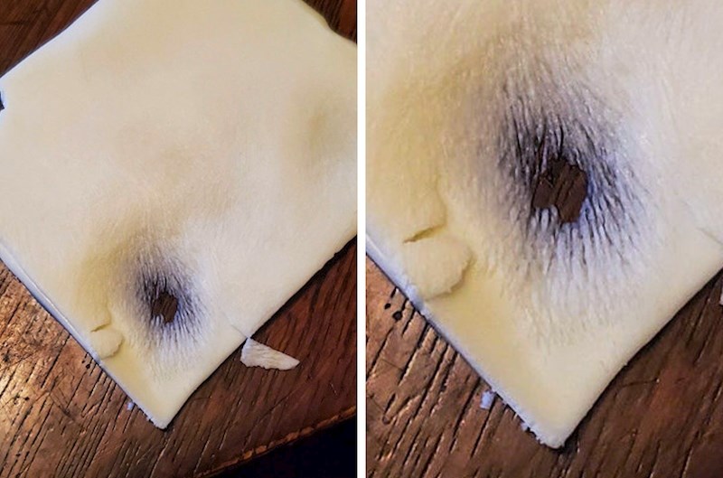 Mačka je polizala sir