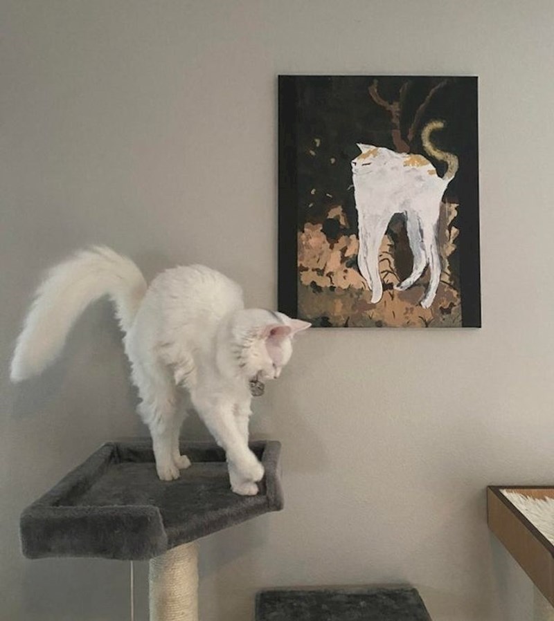 "Slika se dobro uklopila..."