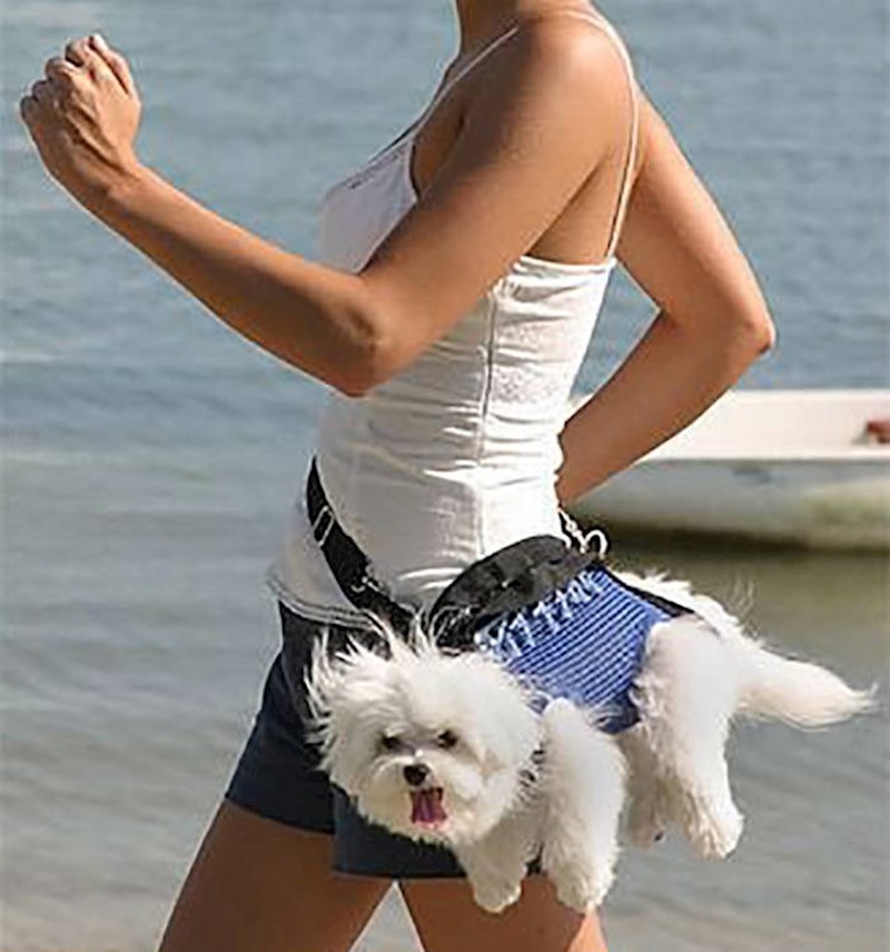 Ova torba za držanje ljubimaca