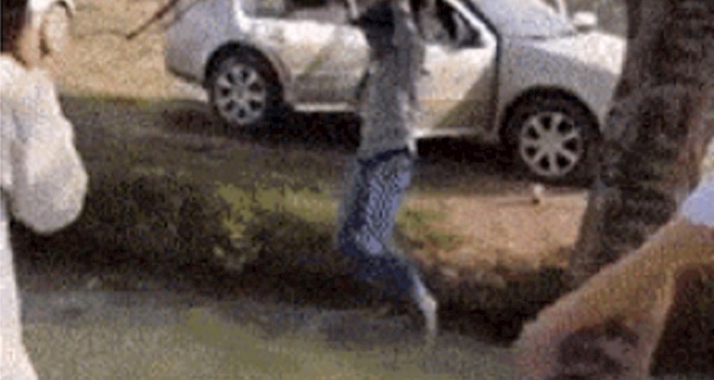 Tip je preko grana prešao potok. Ne, nije pao s grane. Ali na kraju se dogodilo nešto urnebesno