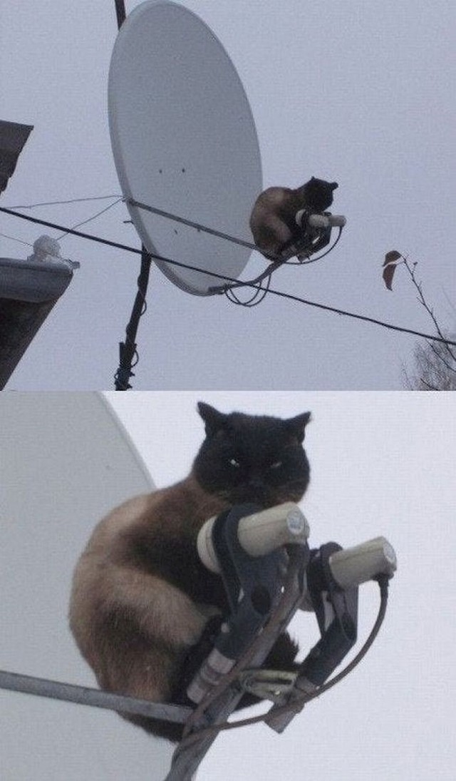 Što se tu događa?