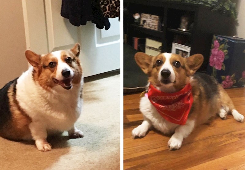 Ova dama je usvojena 2017, na desnoj slici je njen napredak do danas