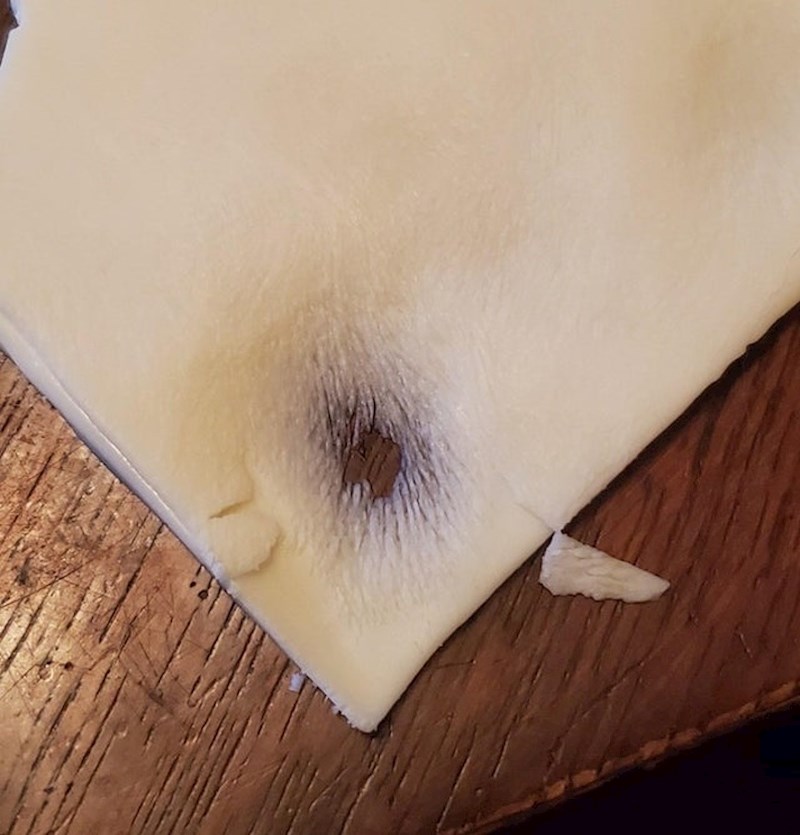 Ovako izgleda kada mačka poliže sir