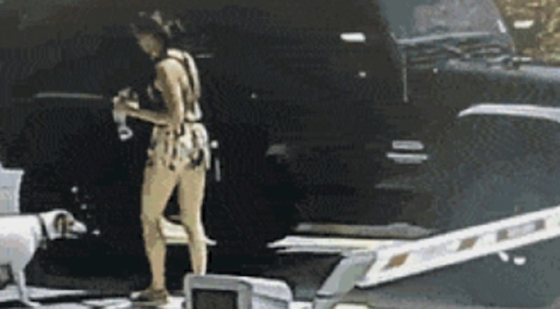 Cura je otvorila vrata od auta kako bi pas uskočio, ono što je napravio nasmijalo ju je do suza