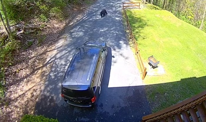 Kamera je snimila medvjeda kako ulazi u auto, vlasnici su se smijali kada su vidjeli što je pojeo