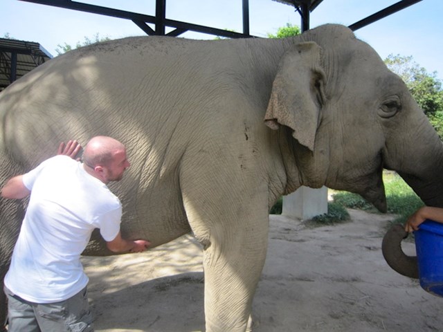 "Nedavno sam upoznao ovog slona i priuštio mu masažu trbuha"