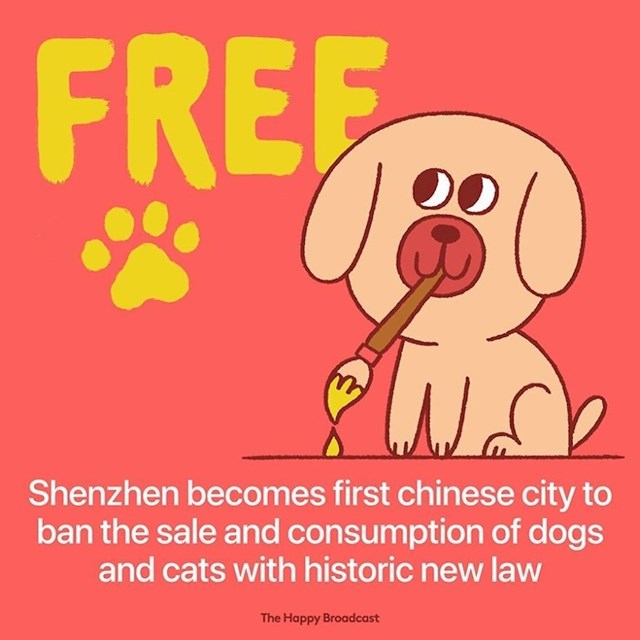 Shenzhen je prvi kineski grad koji je zabranio prodaju i konzumaciju pasa i mačaka