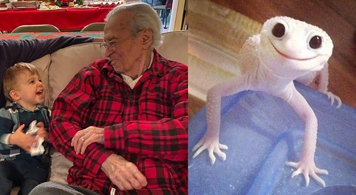 Fotke koje će vas ugrijati bolje nego vrući ljetni dan