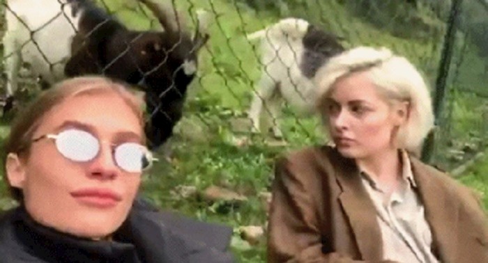 Cure su planirale snimiti cool video, ali koze su imale drugi plan