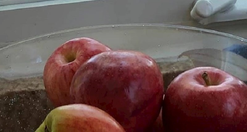 Netko ih je promatrao kroz prozor na kuhinji, ovo su morali slikati