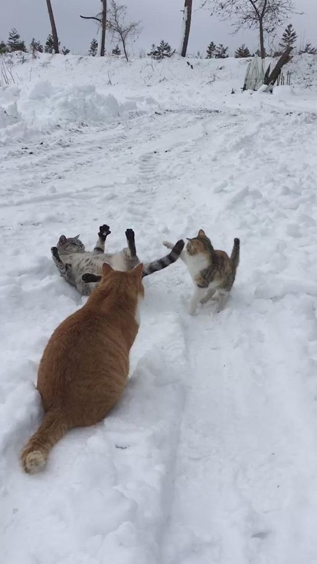 "Obožavam ovo perje sa neba!"