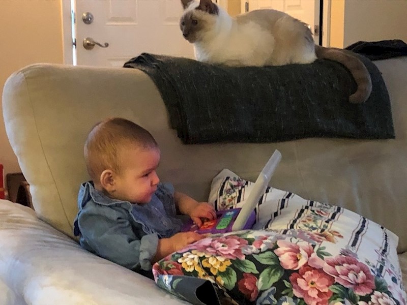 Ozbiljan zaposlenik...