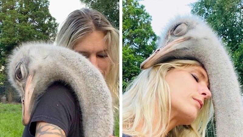 15 pozitivnih slika koje vam sigurno popraviti ovaj kišni dan