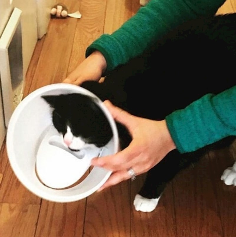 Glava joj je zapela u poklopcu kante za smeće