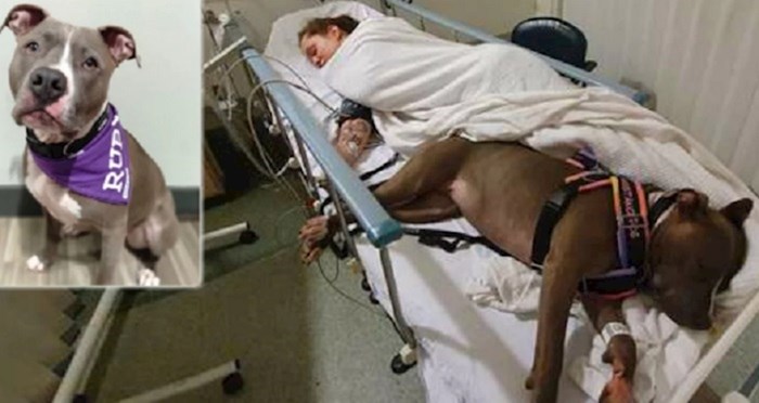 Pas je predosjetio ženin zdravstveni problem, to joj je spasilo život