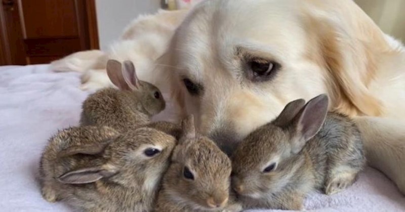 Predivno prijateljstvo