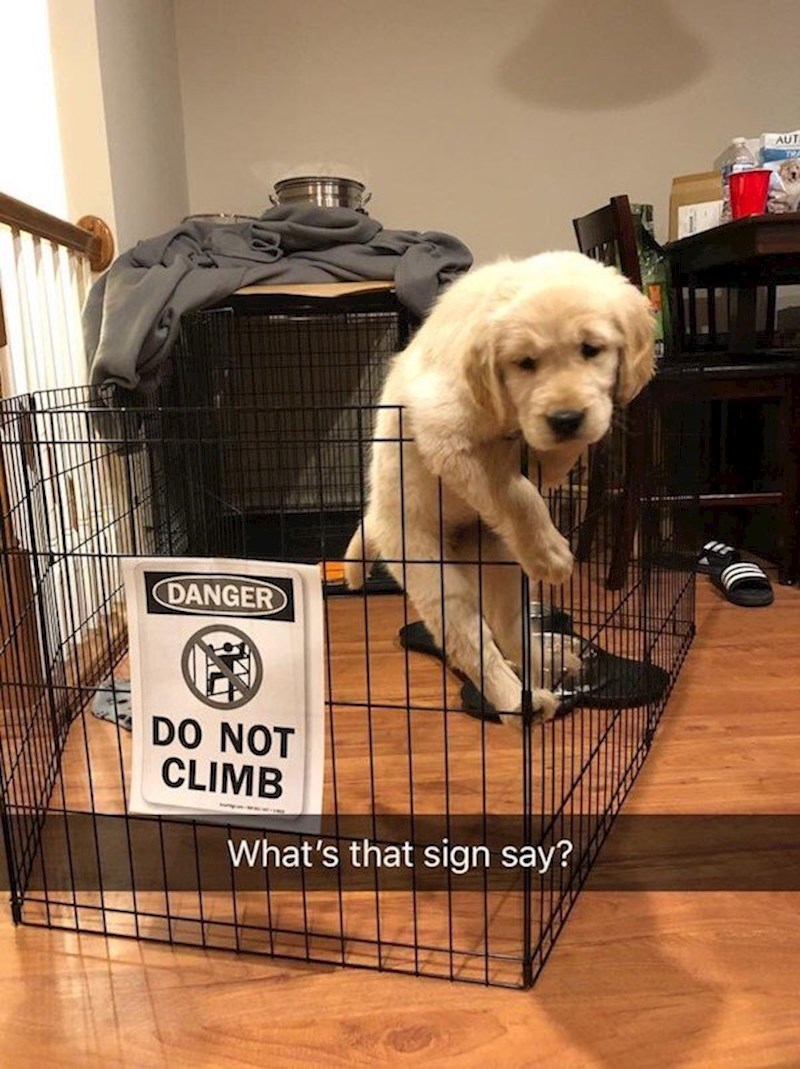 Ne penji se na ogradu!