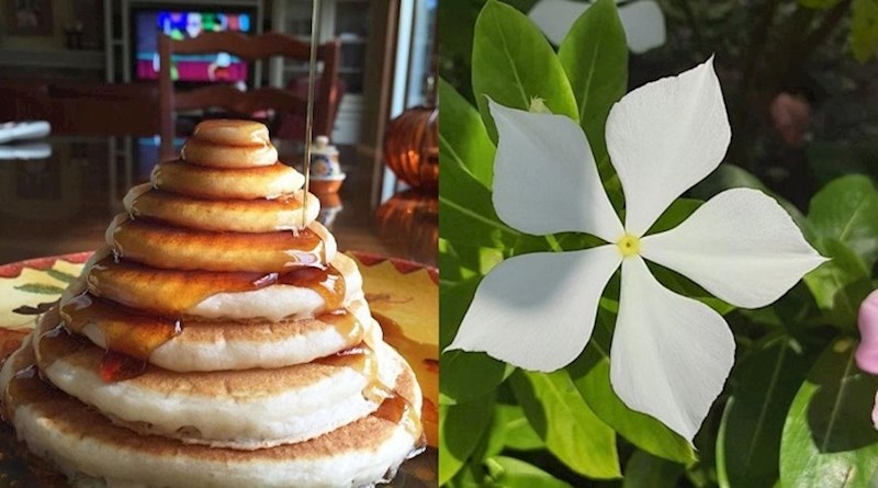 15 savršenih fotki koje će vas potpuno umiriti