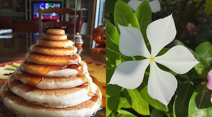 15 savršenih fotki koje će vas potpuno umiriti