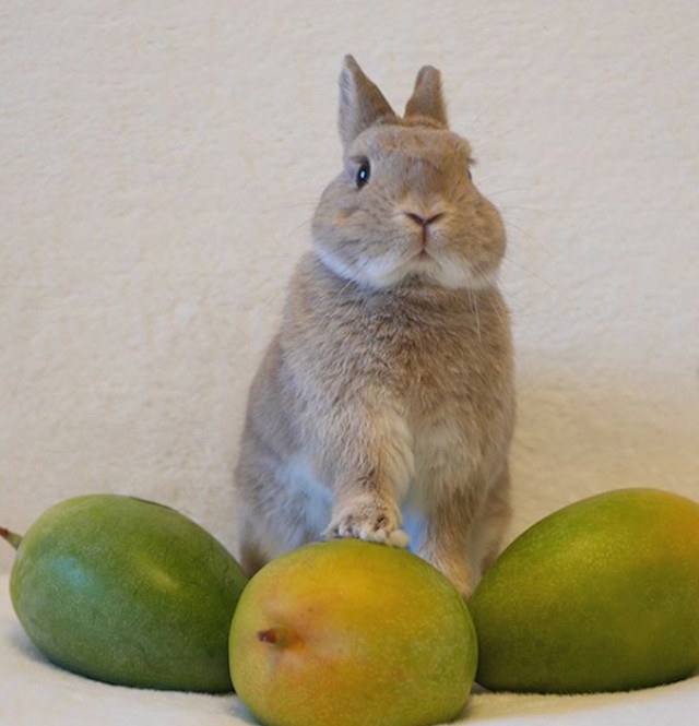 Omiljeno voće mu je mango