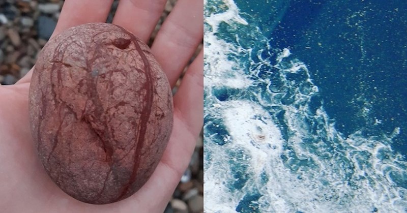 20 običnih stvari koje izgledaju kao nešto potpuno drugo