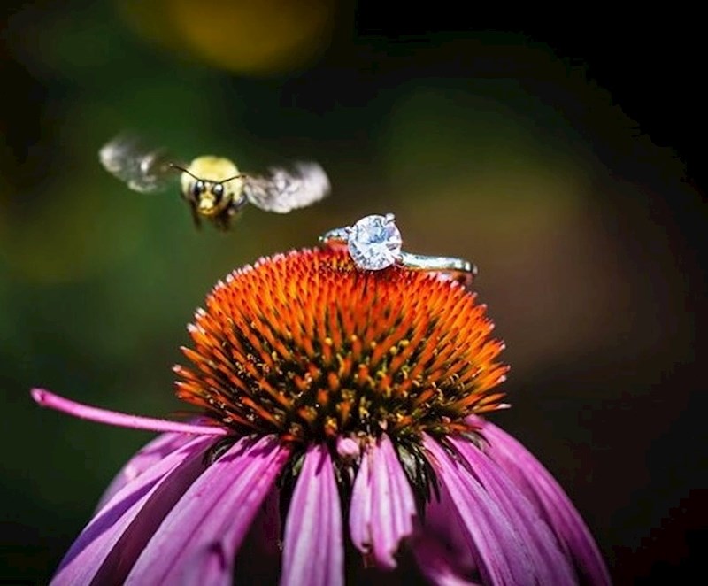 "Fotograf je slikao prsten moje žene, kada mu je u kadar uletio ovaj mališan"
