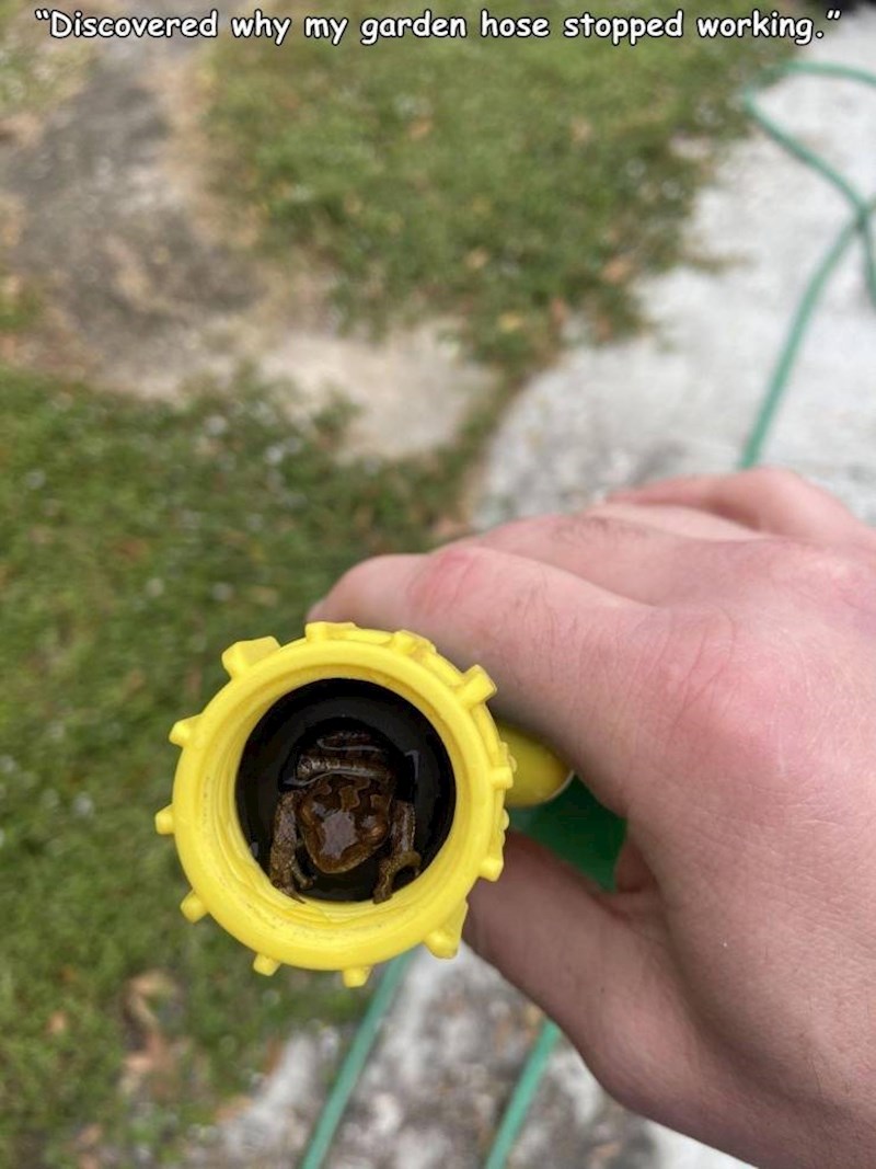 Otkrio sam zašto nije funkcioniralo crijevo za vodu...