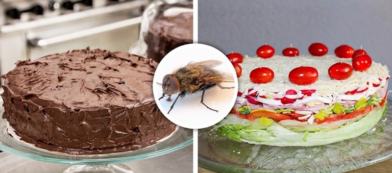 Svijet bez muha je svijet bez čokolade