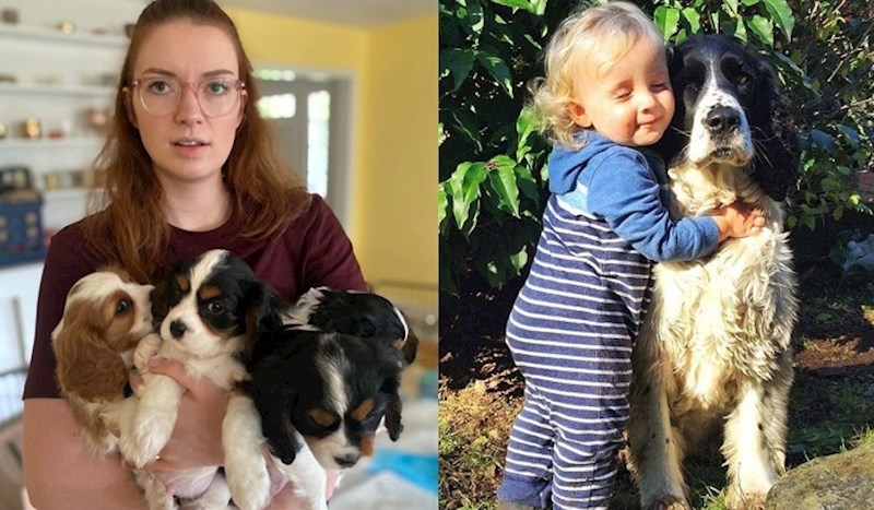 Ako se pitate kako izgleda prava ljubav, pogledajte ove ljubimce i njihove vlasnike