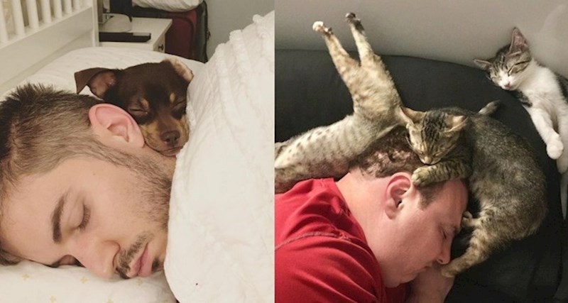 Ljubimci i njihovi vlasnici uhvaćeni u zajedničkom hrkanju