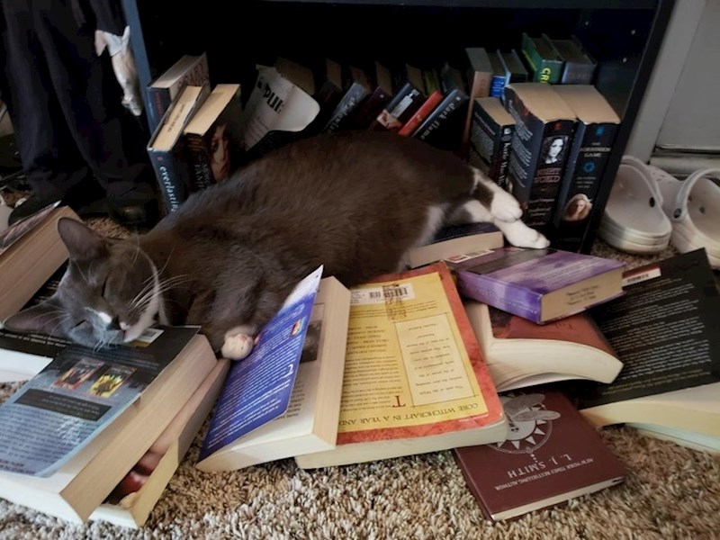 Savršeno mjesto za odmor...