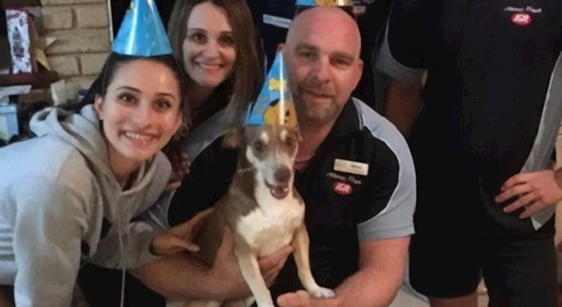 13-godišnji pas nije mogao vjerovati da se obitelj sjetila njegovog rođendana