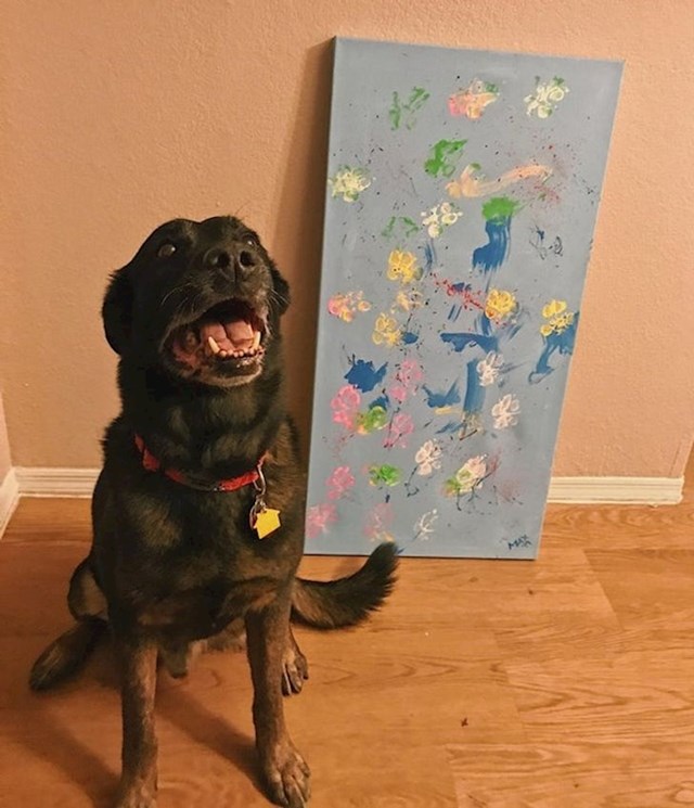 Ovaj pas ponosan je na svoje umjetničko djelo