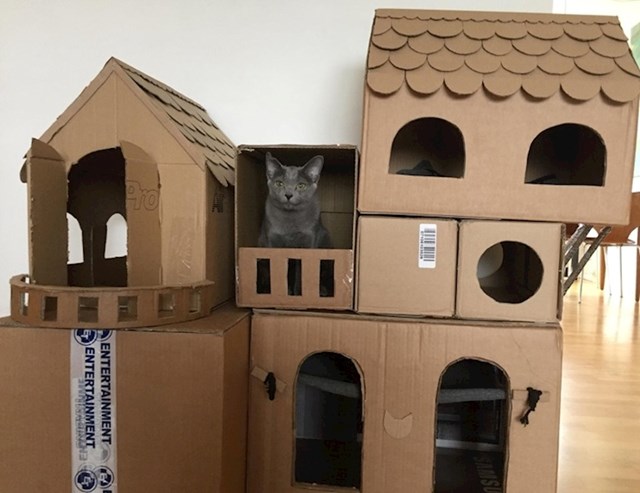 Ne bacajte kartonske kutije ako imate mačku, možete joj od njih izraditi pravu luksuznu vilu