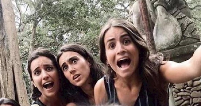 Curama je majmun uzeo mobitel, ovo što se dogodilo stvarno nisu očekivale